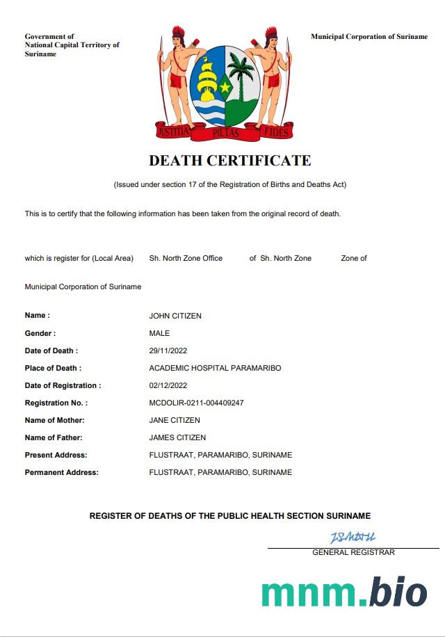 Suriname śmierć certyfikat Word i PDF szablon